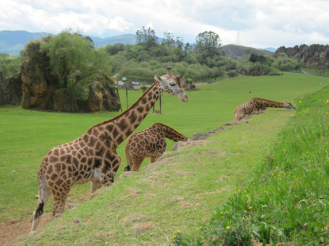 Parque de Cabárceno en Cantabria
