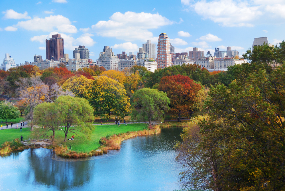 Planes para disfrutar de Central Park, vista del parque