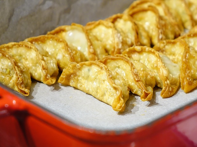 Gyoza, plato típico de Japón