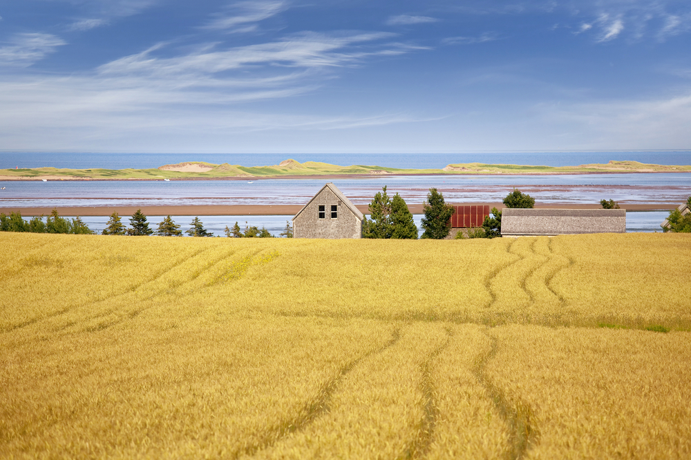 Isla del Príncipe Eduardo una de las cosas que ver al viajar a Canadá
