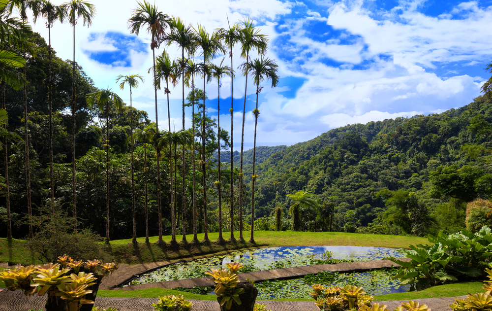 Jardines de Balata en Martinica