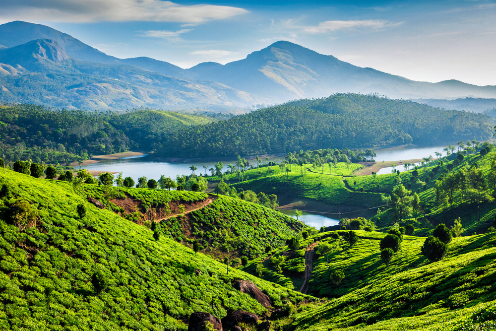 Kerala en un recorrido exótico por la India