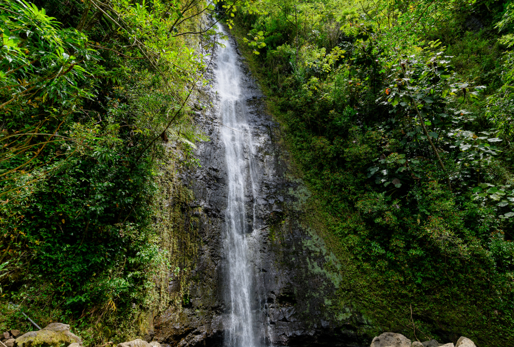 Manoa Falls en Hawai