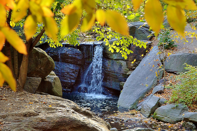 North Woods en Central Park