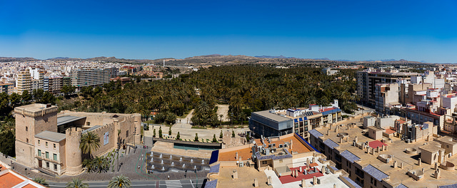 Palmeral de Elche
