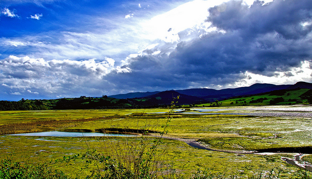 Parque Natural de Oyambre