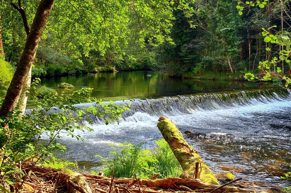 PAseo dos Namorados Sargadelos