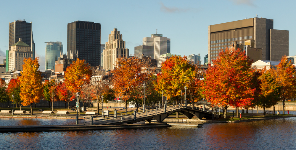 Puerto Viejo, una de las zonas para alojarse en Montreal