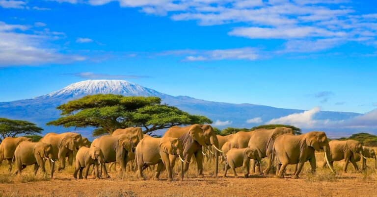 9 razones para visitar África, un continente fascinante