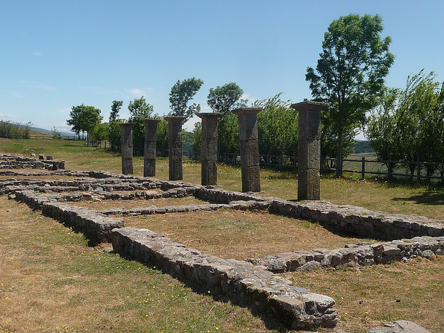 Descubrimos las ruinas romanas de Julióbriga