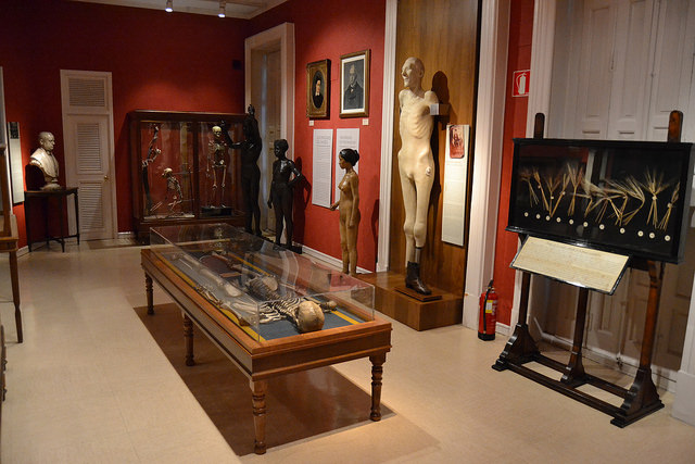Sala de los Orígenes en el Museo Nacional de Antropología
