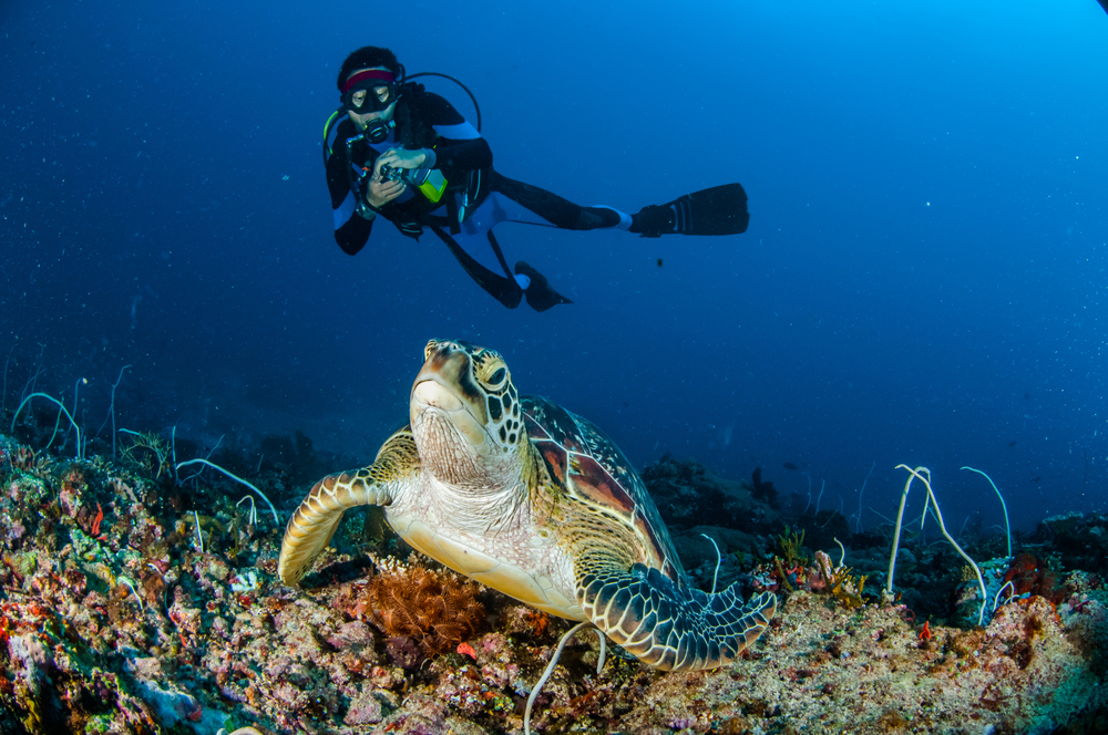 Submarinista en las islas Gili