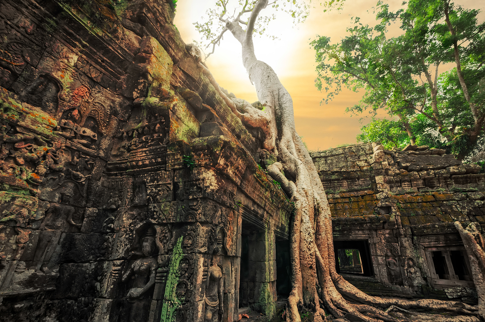 Amanecer en Ta Prohm en Angkor