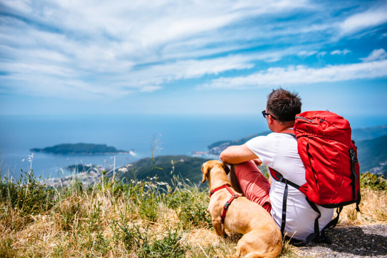 ¿Y si este año te animas a viajar con tu mascota?
