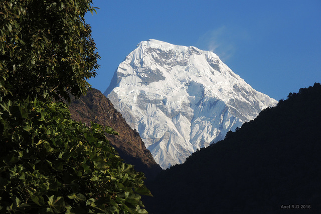 Annapurna