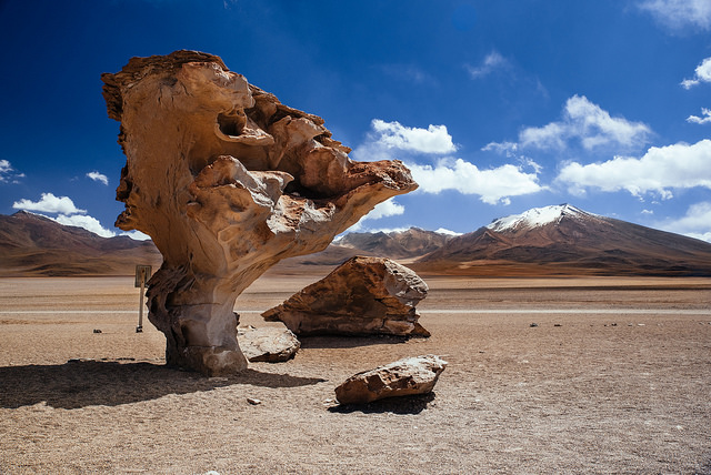 Árbol de piedra en Bolivia