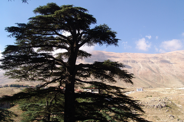 Bcharre en el Líbano
