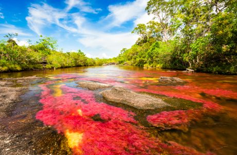 Caños Cristales