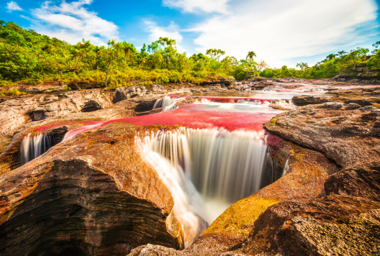 Visita el extraordinario ecosistema de Caño Cristales en Colombia