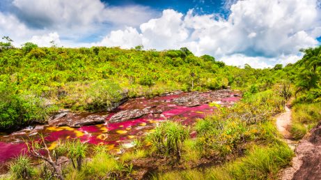 Vista de Caño Cristales