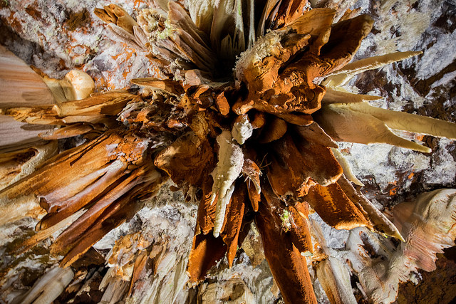 Interior de las cuevas del Águila
