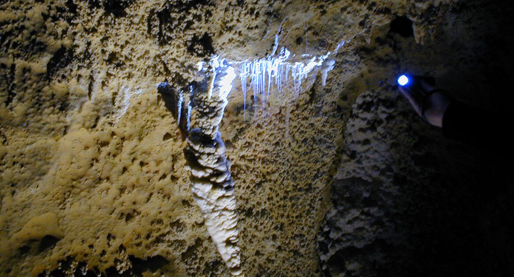 Cuevas de Waitomo Glowworm