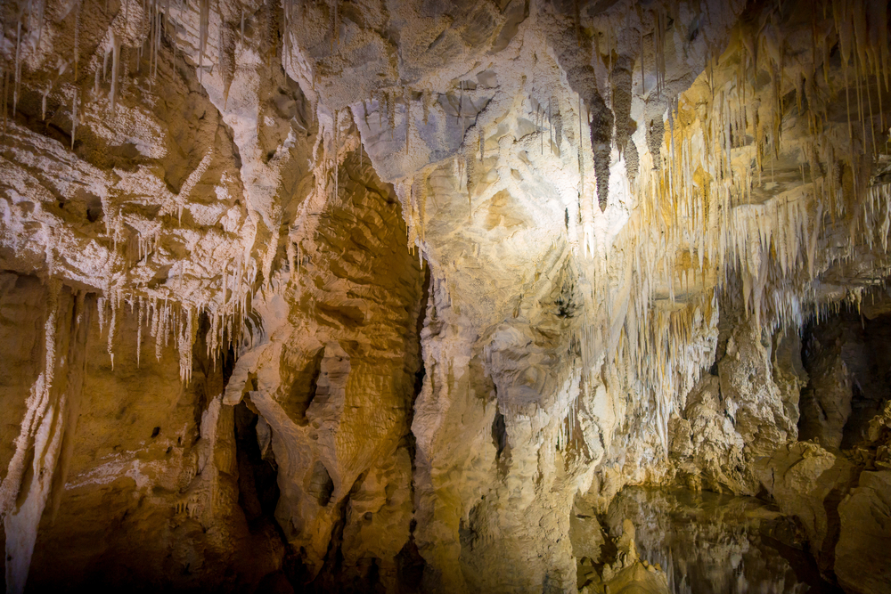 Cuevas de Waitomo Glowworm
