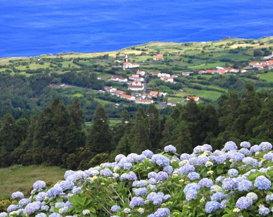 Flores en Faial en Azores