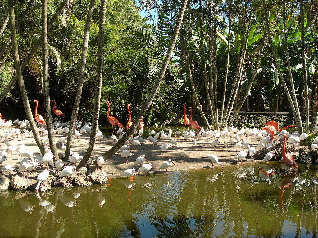 Flamingo Gardens en Fort Lauderdale