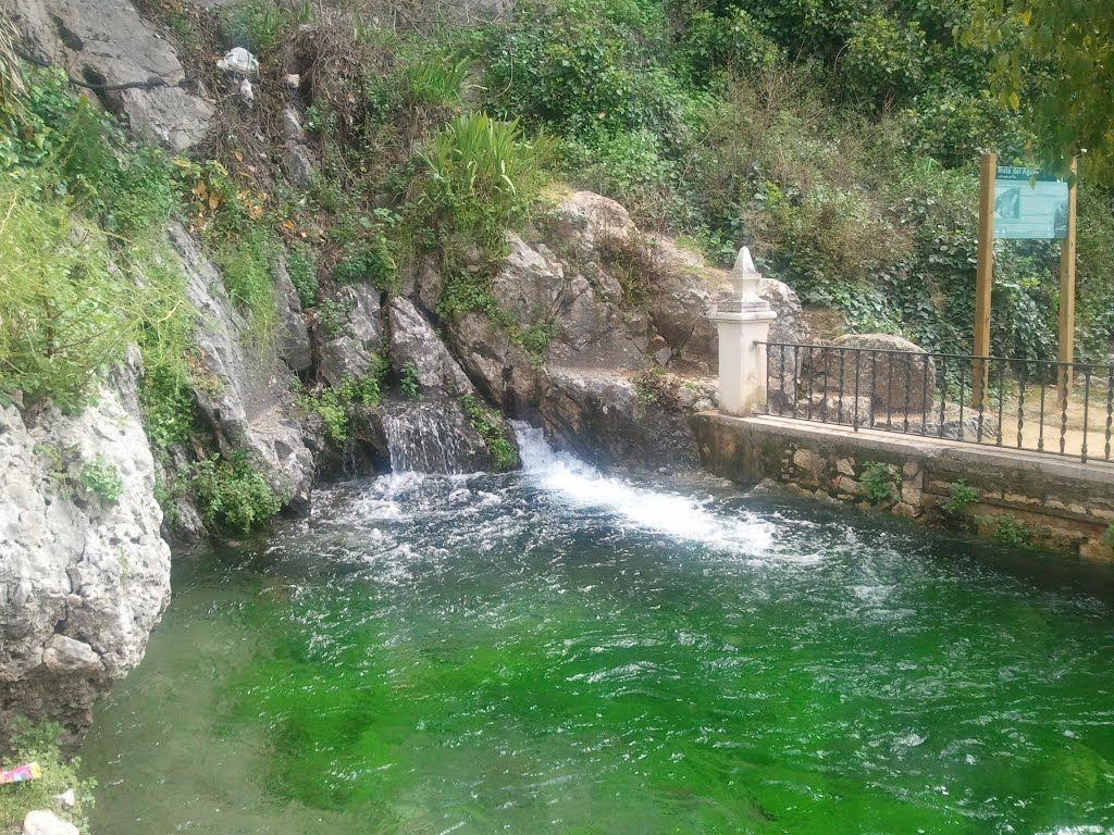 Nacimiento del río Cabra