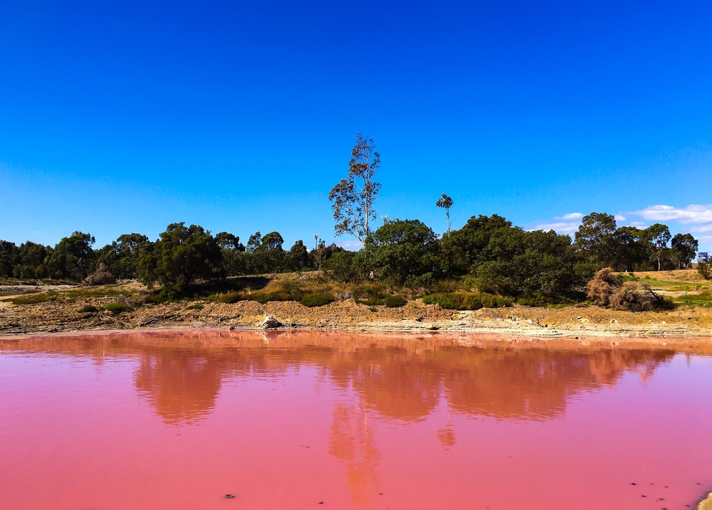 Lago Hillier