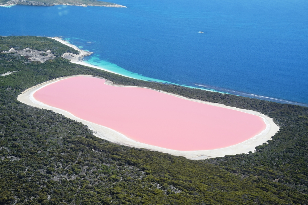 Descubre las increíbles aguas rosadas del lago Hillier en Australia