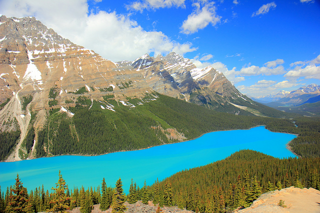 Lago Peyto en Canadá