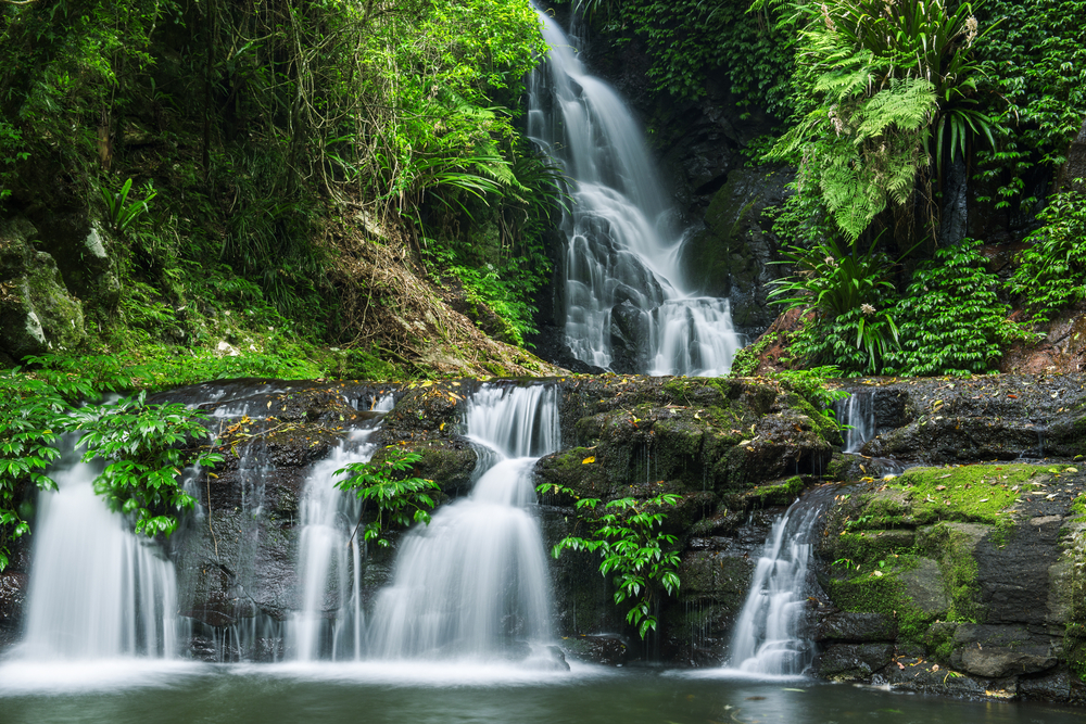 Cascadas en Lamington National Park