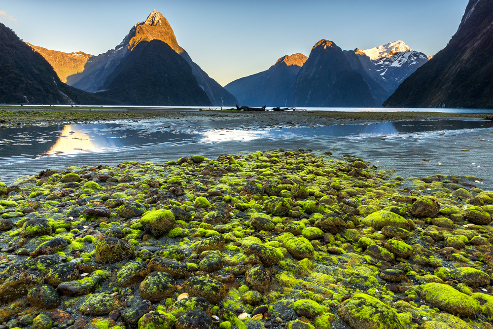 Milford Sound en Nueva Zelanda