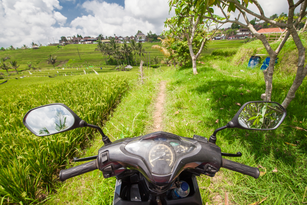 Moto en un campo de arroz