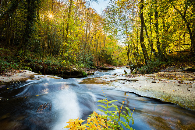 Parque Natural del Montseny