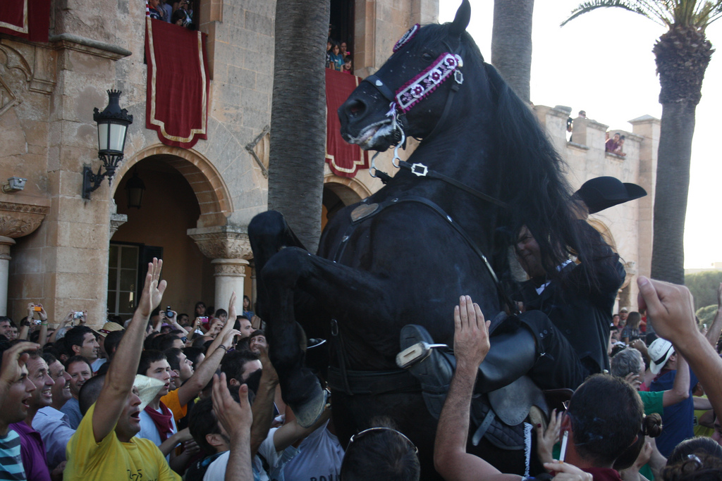 Fiesta de Sant Joan con caballos