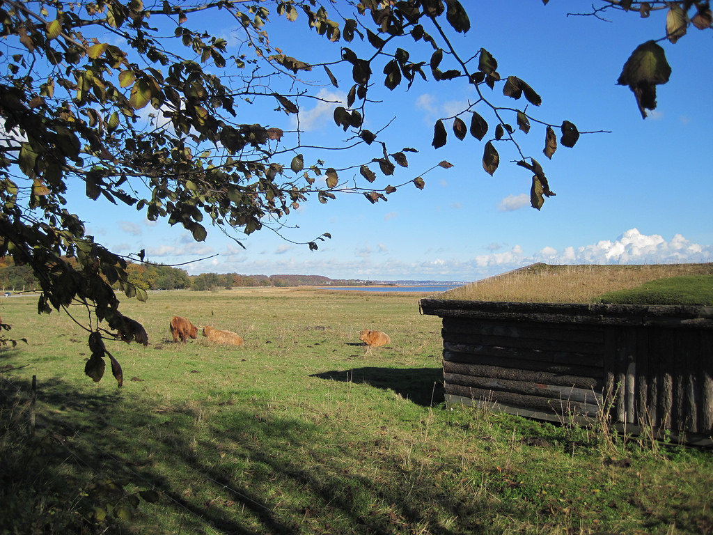 Sondernho en Dinamarca