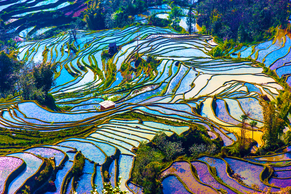 Terrazas de arroz de Yuanyang