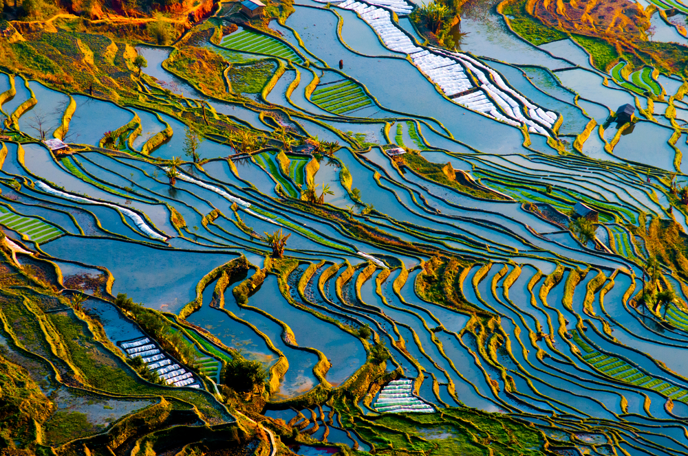 Terrazas de arroz de Yuanyang