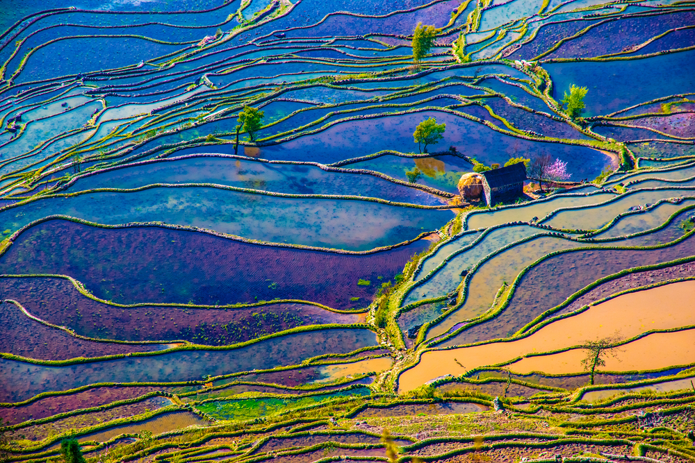 Terrazas de arroz de Yuanyang