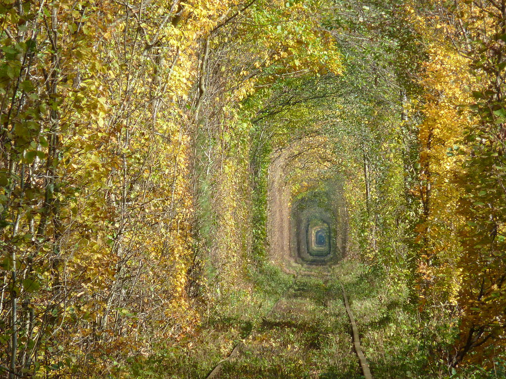 Túnel del Amor en otoño