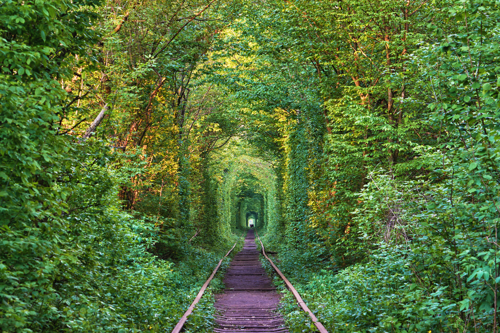 Nos vamos de viaje romántico al Túnel del Amor en Ucrania
