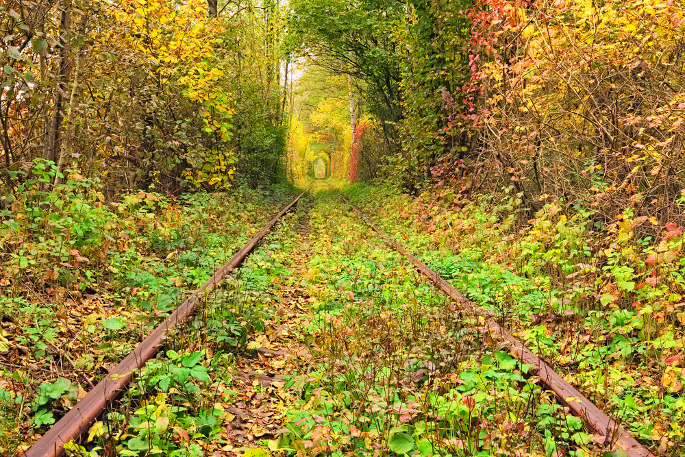 Túnel del Amor