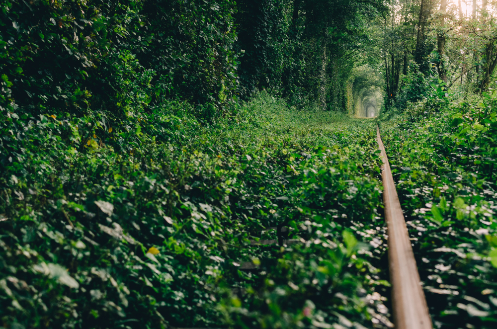 Vía de Túnel del Amor
