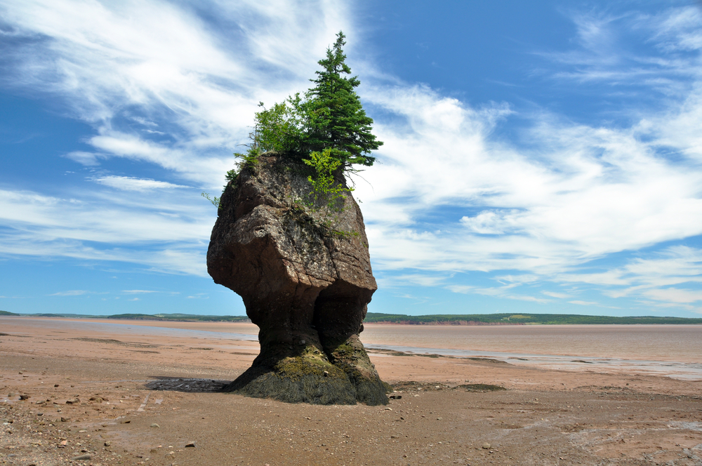 Bahía de Fundy en Canadá