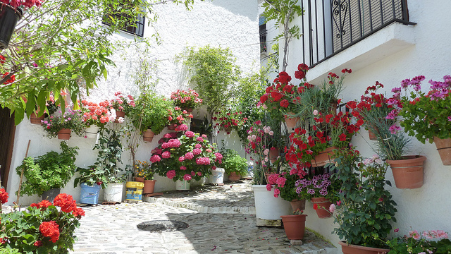 Calle de Pampaneira en Granada