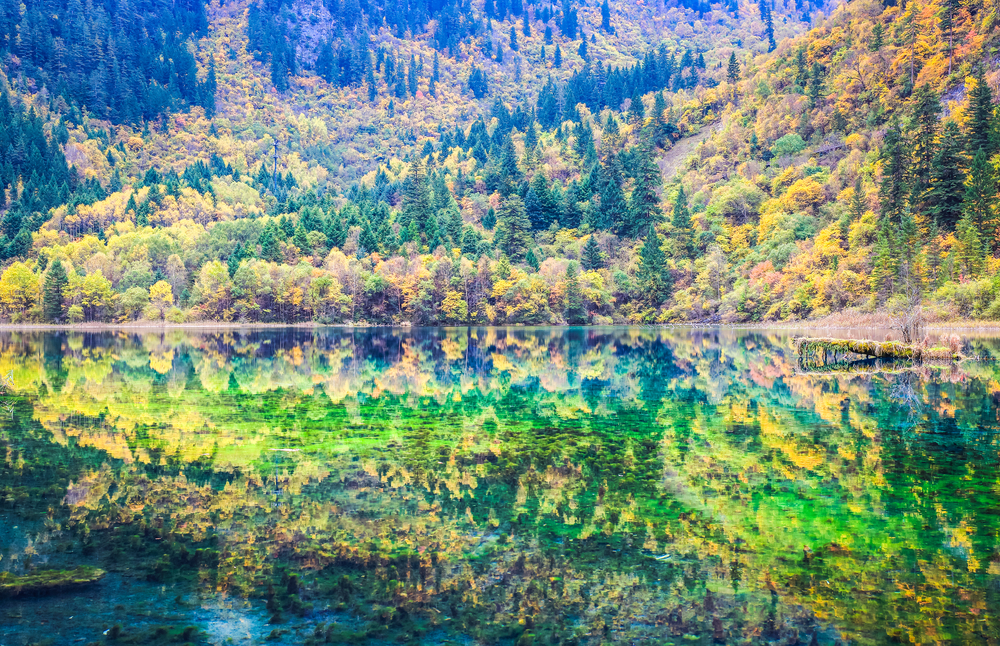 Reflejos en el lago de las Cinco Flores