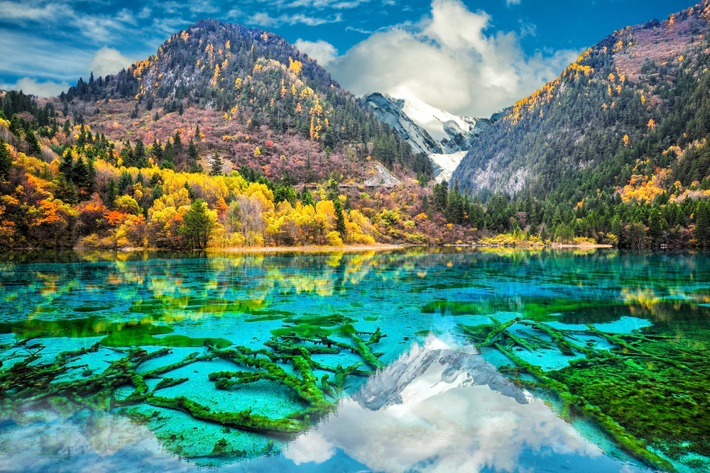 Lago de las Cinco Flores
